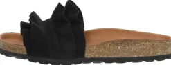 Verbenas Rocio Zwart New