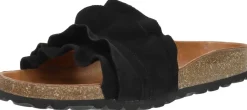 Verbenas Rocio Zwart New