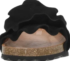 Verbenas Rocio Zwart New