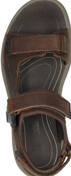 Clarks Saltway Trail Donkerbruin Hot