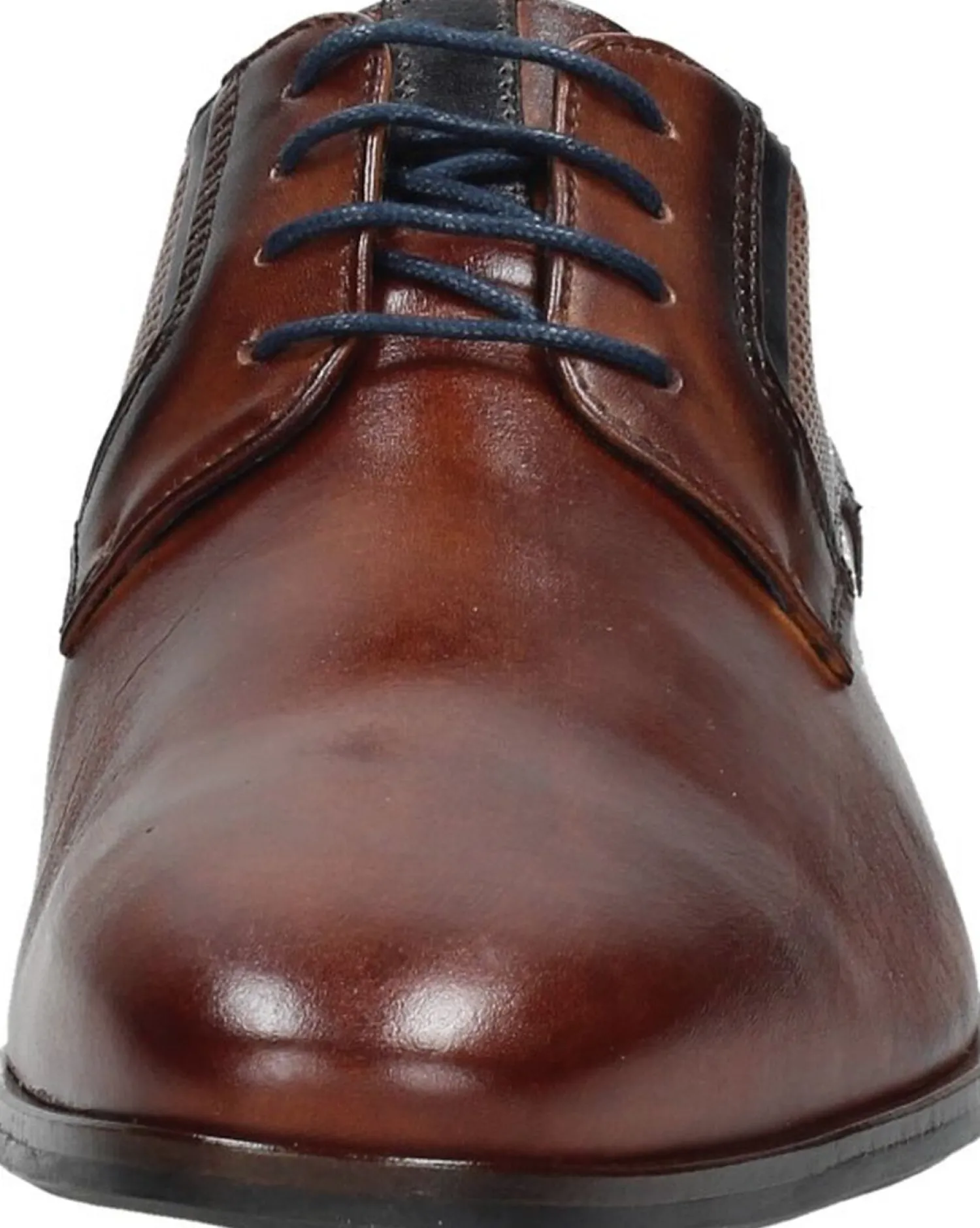 Berkelmans Sameiro Cognac New