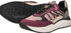 Sub55 Sneakers Laag Bordeaux Online