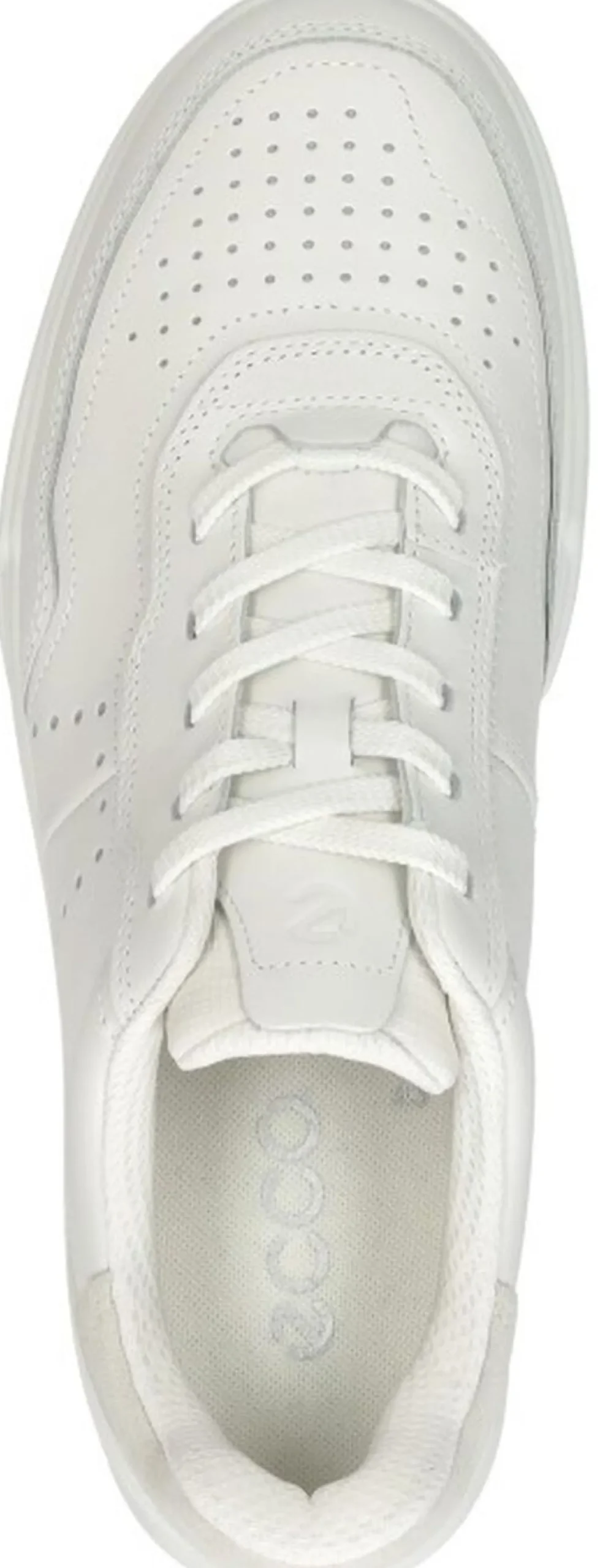 Ecco Street Court Wit New