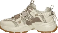 Steve Madden Tazmania Beige Hot