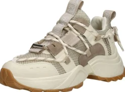 Steve Madden Tazmania Beige Hot