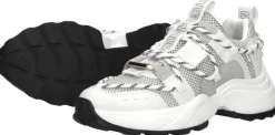 Steve Madden Tazmania Wit New