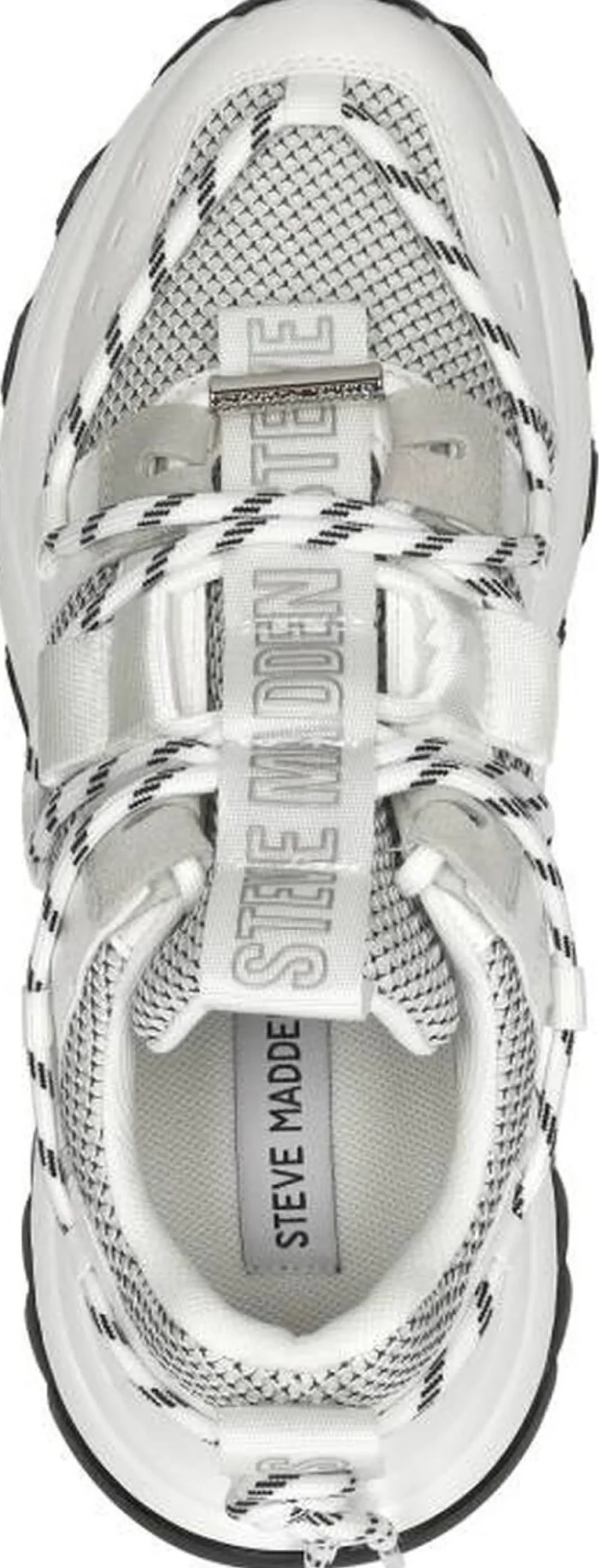 Steve Madden Tazmania Wit New