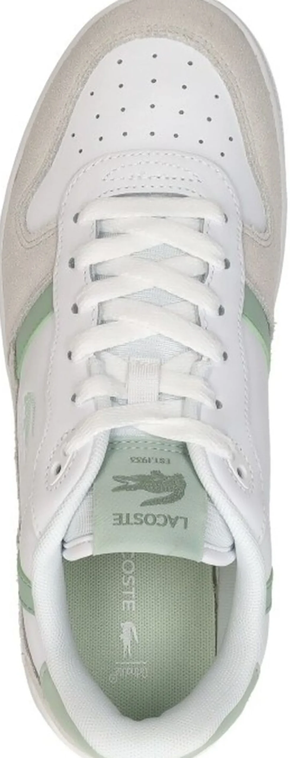 Lacoste T-Clip Wit Best