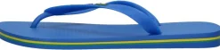 Ipanema Teenslippers Kobalt blauw Best