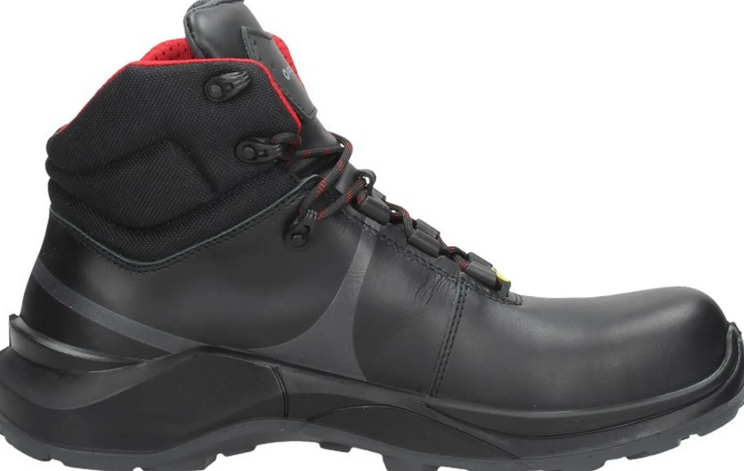 Protektor Trax Automotive Zwart Discount