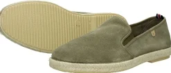 Verbenas Troy Groen Discount