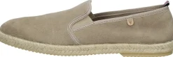 Verbenas Troy Taupe Online