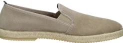 Verbenas Troy Taupe Online