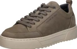 Cycleur De Luxe TS2 Taupe New