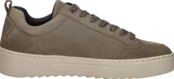 Cycleur De Luxe TS2 Taupe New