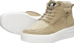 Maruti Vancy Beige New
