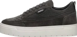 Antony Morato Veterschoenen Laag Donkergrijs Fashion