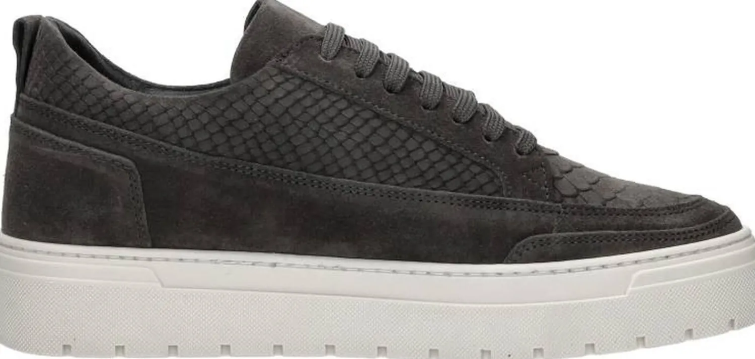 Antony Morato Veterschoenen Laag Donkergrijs Fashion