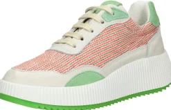Palpa Veterschoenen Laag Groen Hot