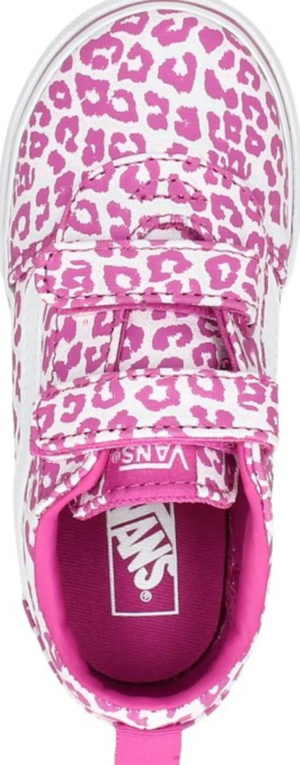 Vans Ward V Fuchsia Clearance