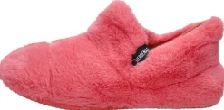 Verbenas Yeti Koraal rood Online